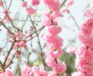 恋愛占い　視えた・感じたままを伝えます タロットであなたに今必要なメッセージをお届け⭐︎ イメージ6