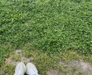 ちょっとでも歓迎！どんなお話でも優しく寄り添います 相談・愚痴・雑談など…お気軽にどうぞ♫ イメージ5