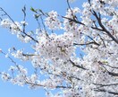 ストレス解消❣️すべて、まるっとお聞きします ストレスの疲れ、モヤモヤを心のお外に出してみませんか❣️ イメージ5