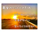ペットとの別れ…話し聴きます 大好きなペットとの別れが受け入れられない。どんな子だった？ イメージ1
