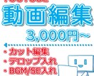 YouTube動画編集いたします カット、テロップ、BGM/効果音挿入など イメージ1