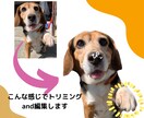 写真からオリジナルLINEスタンプ作成いたします 携帯に眠っている思い出の写真をスタンプにしませんか？ イメージ1