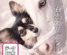 うちの子をAIイラストに！初心者向け作り方教えます うちの子グッズをAIで作ろう！基礎からレッスンします イメージ4