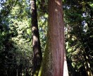 遠隔ヒーリング１５分させていただきます 今心や身体と向きあってる方へ⭐︎ イメージ1