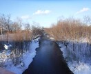 用途不問の背景画像提供します 背景に使えそうな写真を提供します イメージ4