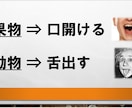 ４.リハビリ教材を提案します 様々なバリエーション！明日からすぐに使える！ イメージ4