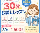 現役英語教員が30分のお試し英語レッスンを行います 完全オーダーメード！勉強のつまずきを一緒に解決！ イメージ1