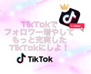 TikTokフォロワー増やします 宣伝したいけどって方ファン増やしたいって方大歓迎!! イメージ1