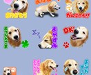 ペットや人物の写真でLINEスタンプを作ります オシャレ系でも可愛い系でもご要望に合うLINEスタンプ制作！ イメージ3