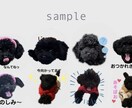 愛犬やお子さんの写真でLINEスタンプ作成します 世界にたった１つのオリジナルスタンプ イメージ1