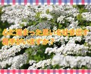 心に溜まった思いを吐き出すお手伝いをします 心に溜まった思いを吐き出してスッキリしませんか？ イメージ1