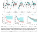 海外の論文、文献、専門誌を見つけます 有料情報を含む海外情報をほぼすべて収集できます。 イメージ2