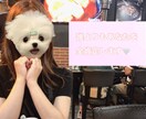 あなた以上にあなたのことを肯定します 他人だから話せることもあると思います イメージ1