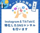 インスタ＆TikTok特化のSNSコンサルをします インスタ＆TikTokコンサルに特化。ショート動画攻略を支援 イメージ4
