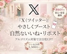 X初速ブースト！自然ないいね増加（非BOT）します 日本人フォロワー！いいね♡インプ♡増産で注目度UP!! イメージ1