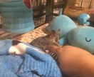 セクハラやイタズラ虐待をされた貴方、お話を聞きます 周りがどう言おうと辛い思いをしたなら、貴方は【被害者】です イメージ10