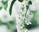 6月の運気を占います 運気は良い悪いではなく成長のチャンスとして訪れる！！ イメージ1