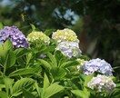 写真提供します あなただけの写真世界へ行こう！ イメージ4