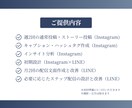 Instagram×LINE集客特化運用代行します ビデオチャットで相談しながら、集客につながるSNS運用を実現 イメージ3