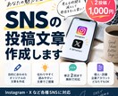 SNSの投稿文章を丁寧に作成しますます Instagram・Xなど伝わる投稿文を作成します イメージ1