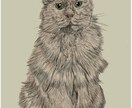 即日納品可能、画像を参考に鉛筆画をお届けします 画像を元にスケッチ画から全面カラーの絵画まで心温まる物に。 イメージ3