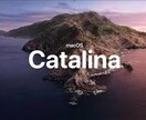 MacOS Big surからダウングレードます MacOS Big surからCatalinaダウングレード イメージ2