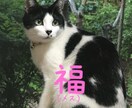 障がいを持ってるお母さんの話を聞きます 人に話すとスッキリしますよちゃんと相談にものります安心してね イメージ3
