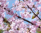 精神疾患とともに働く保育士が、あなたのお話聴きます 否定しません/悩み/話し相手/愚痴/精神疾患/不安/保育士 イメージ9