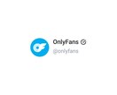 OnlyFansをredditで効果的に宣伝します OnlyFans専門！reddit活用で効果的に集客拡大！ イメージ1