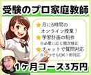 元医学部生のプロ講師が勉強をフルサポートします オンライン授業6時間＋学習計画作成＋いつでも質問対応◎ イメージ1