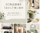楽天・Amazon向け商品画像を1点制作します 商品の特徴を整理し見やすく伝える画像を制作 イメージ2