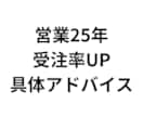 営業25年｜受注率を上げる具体アドバイスしますます 「何を直せばいいか分からない」を具体的に解決します イメージ1