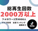 TikTokとInstagramの運用代行をします TikTok / Instagramを伸ばすSNS運用代行 イメージ2