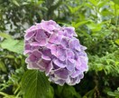 女性の方向けです。お話し聞きます 一人で抱えこんで本当の闇に落ちる前に イメージ9