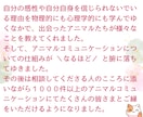 動物と話せるアニマルコミュニケーション講座します 感受性や共感力が高く優しい人向け＊瞑想なし＊HSPさんも納得 イメージ5