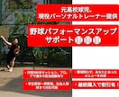 野球の為の補強メニュー作ります 家でもできる簡単メニューでパフォーマンスアップ!! イメージ1