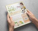 魅力が伝わるチラシ・フライヤーをデザインします 「自分で作るのは難しい」をデザインで解決します! イメージ3