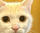 色々あるよ…様々な愚痴言ってください。まってます 口悪かろうが私はかまいません。だって愚痴だもの。 イメージ1