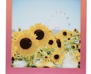 写真をチェキ風写真にします 現役高校生が写真をチェキ風写真に加工します！ イメージ3