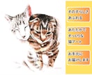 原画郵送！かわいい猫さんやペットの似顔絵描きます ハガキサイズ送料無料／イラスト／肖像画／額縁／うちの子／絵画 イメージ7