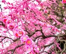 現役セラピストがあなたのお話をお伺いします ♡お試し一分からOK♡お悩みや愚痴、世間話なんでもどうぞ！ イメージ9