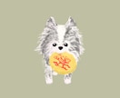 ペットの似顔絵かきます うちの子の宝物愛犬や愛猫の大好物やおもちゃを一緒に描きます イメージ5