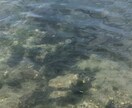 人間関係の仕組み、引き寄せの法則、おしえます スピリチュアルに興味ある方、楽になりたい方 イメージ1