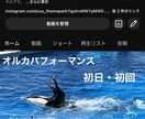 USJの相談なんでも受けます 回り方・ショー・推し活まで幅広く対応 イメージ2