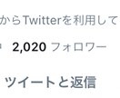 Twitter日本人フォロワー1000人増やします 1番大変な1000人の壁を超えるお手伝い、オプションも イメージ2