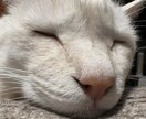 お話ししましょう☀︎聞き役にも話し役にもなります 話したいことがまとまってなくてもゆっくりで大丈夫です イメージ2