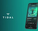 あなたの音楽を世界中に宣伝拡散します 【TIDAL】2ヶ月間で2-6曲プレイリストに追加されます。 イメージ3