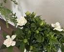 理不尽な思い・人間関係の悩みをプロが整理します 『私がダメなのかな…』と責めないで。私が優しく聴きます。 イメージ1