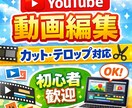 YouTube・SNS動画編集｜テロップ対応します 動画編集が大変な方へ｜編集お任せください！見やすく編集します イメージ1