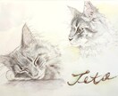 水彩画でうちのこ（ペット）の似顔絵を作成します 温かい手描き水彩で思い出を残そう✳︎プレゼントにも✳︎ イメージ1